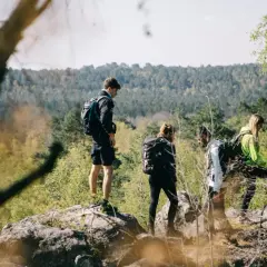Groupe de randonneurs explorant un sentier forestier, profitant d'une randonnée autour de Paris.