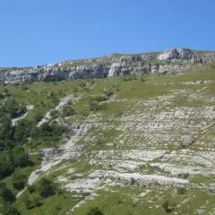 Paysage rocheux et verdoyant du Jura, idéal pour une randonnée boucle 5 jours. Le sentier serpente entre falaises et prairies.