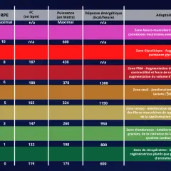 Tableau comparant différentes zones d'entraînement (Neuro-musculaire, Glycolytique, PMA, Seuil, Tempo, Endurance, Récupération) avec leurs adaptations physiologiques, incluant la zone cardiaque.