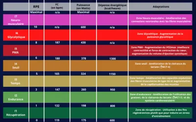 Tableau comparant différentes zones d'entraînement (Neuro-musculaire, Glycolytique, PMA, Seuil, Tempo, Endurance, Récupération) avec leurs adaptations physiologiques, incluant la zone cardiaque.