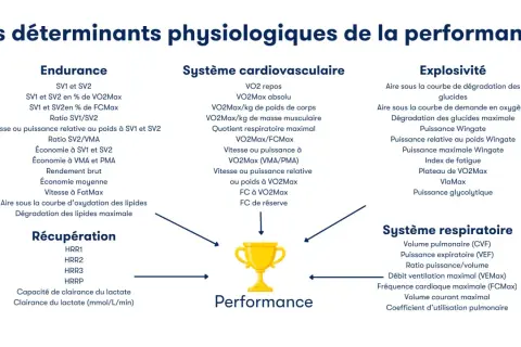 Schéma des déterminants physiologiques de la performance, incluant l'endurance, le système cardiovasculaire (avec VO2Max), l'explosivité et le système respiratoire.
