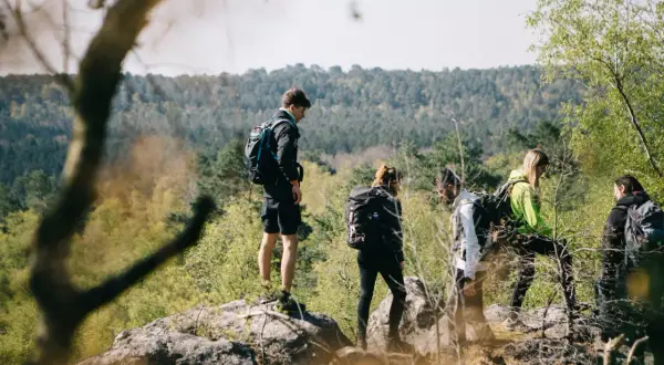 Groupe de randonneurs explorant un sentier forestier, profitant d'une randonnée autour de Paris.