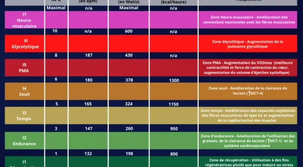 Tableau comparant différentes zones d'entraînement (Neuro-musculaire, Glycolytique, PMA, Seuil, Tempo, Endurance, Récupération) avec leurs adaptations physiologiques, incluant la zone cardiaque.