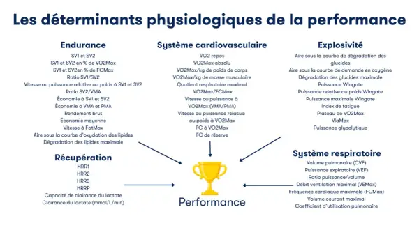 Schéma des déterminants physiologiques de la performance, incluant l'endurance, le système cardiovasculaire (avec VO2Max), l'explosivité et le système respiratoire.