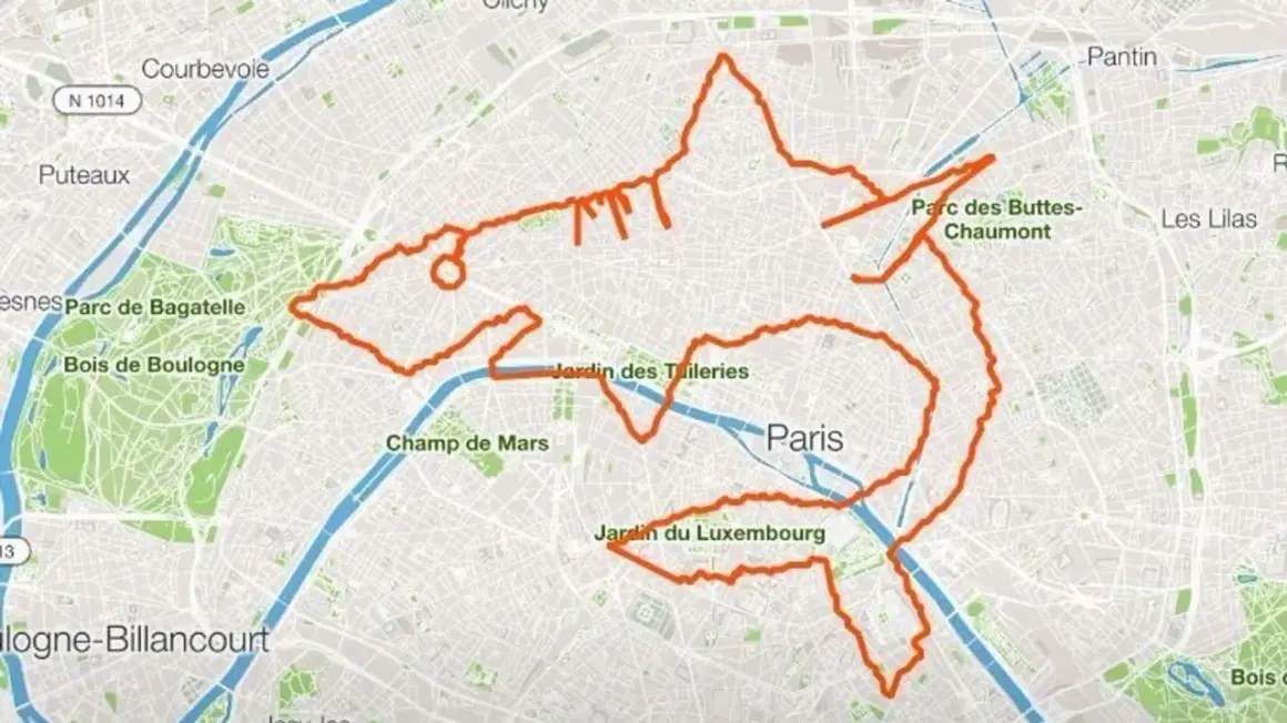 Dessin de requin sur une carte de Paris, tracé par un GPS Strava. Une œuvre créative qui navigue entre les parcs et monuments.