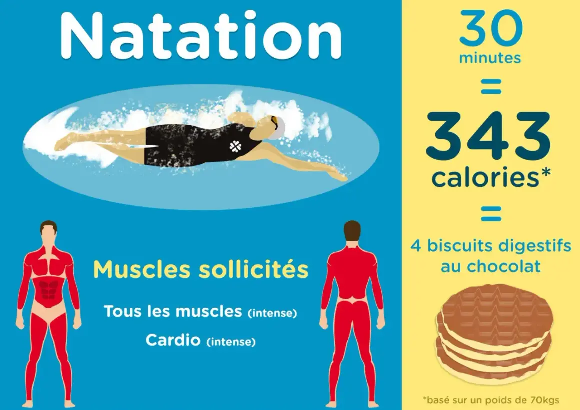 Natation : 30 minutes brûlent 343 calories, l'équivalent de 4 biscuits au chocolat. Un excellent exercice pour tous les muscles et le cardio.