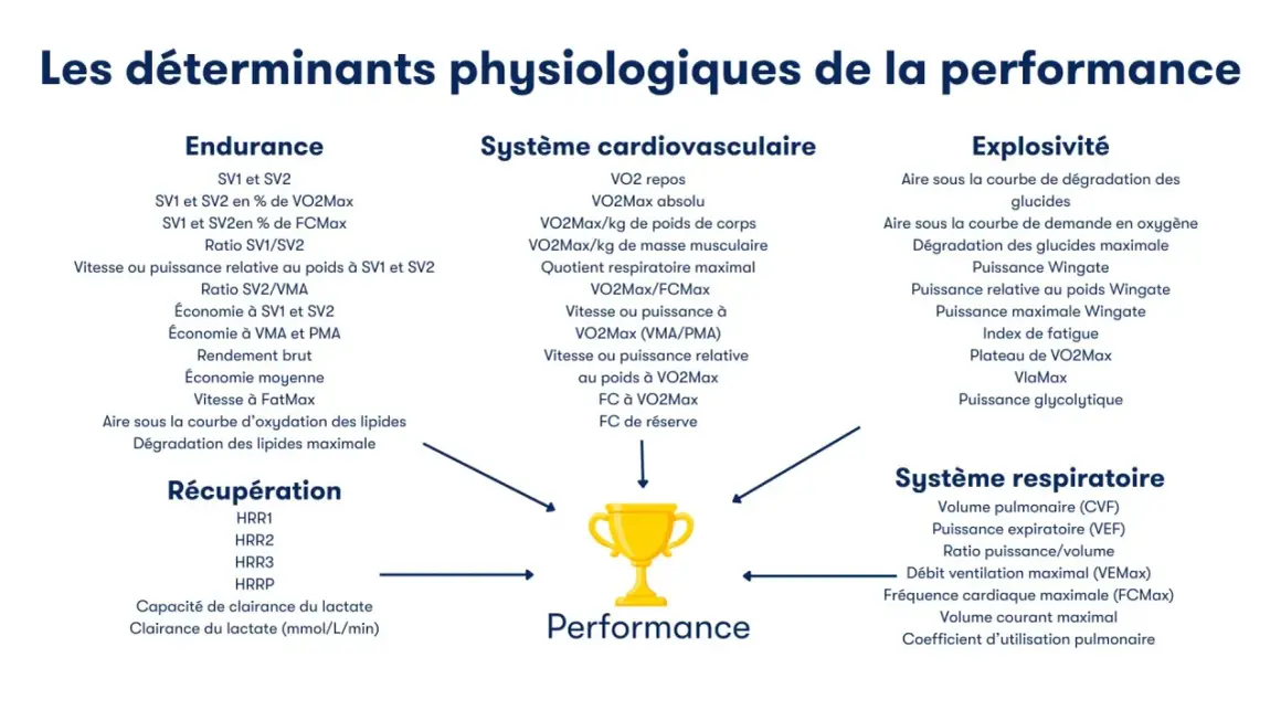 Schéma des déterminants physiologiques de la performance, incluant l'endurance, le système cardiovasculaire (avec VO2Max), l'explosivité et le système respiratoire.