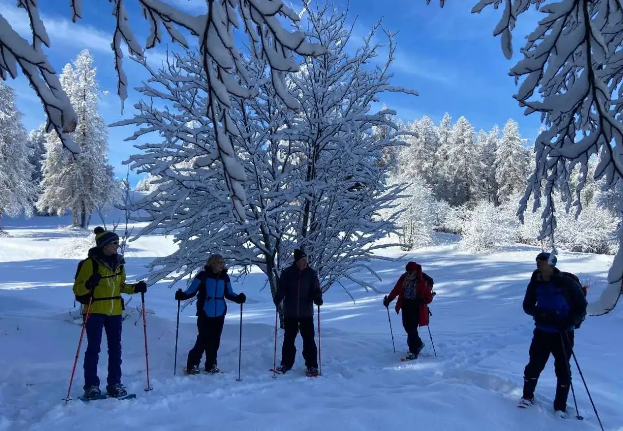 Cinq personnes profitent d'une journée ensoleillée pour marcher avec des raquettes dans un paysage enneigé et boisé.