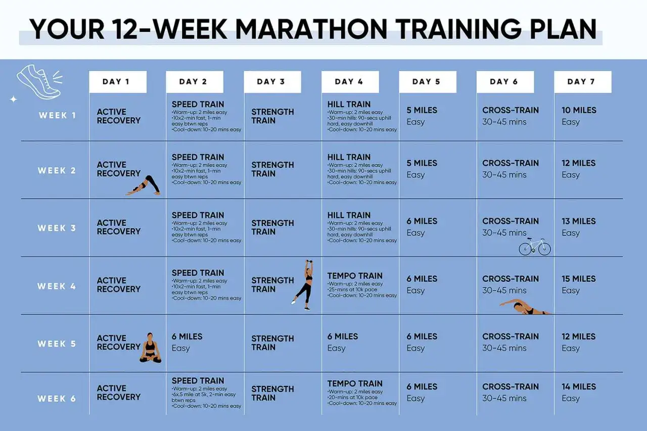Tableau d'entra&icirc;nement sur 12 semaines pour pr&eacute;parer un marathon, avec des jours d&eacute;di&eacute;s &agrave; la r&eacute;cup&eacute;ration active, au speed train, au hill train, au tempo train, au cross-train et aux longues distances.