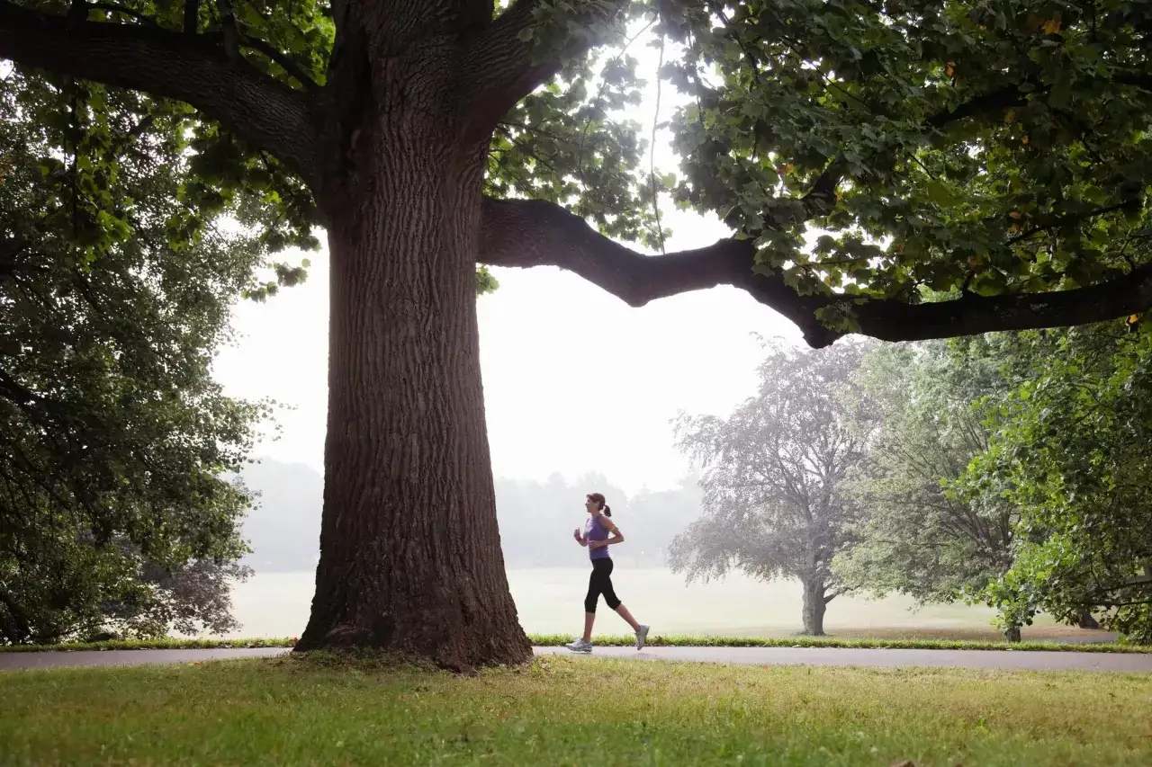 Femme courant dans un parc brumeux, près d'un grand arbre. L'image évoque l'endurance fondamentale et la connexion avec la nature.