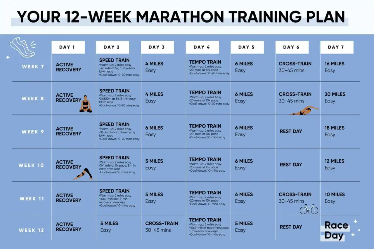 Plan entraînement semi-marathon débutant : 12 semaines de courses variées, récupération active, cross-training et jours de repos pour atteindre votre objectif.