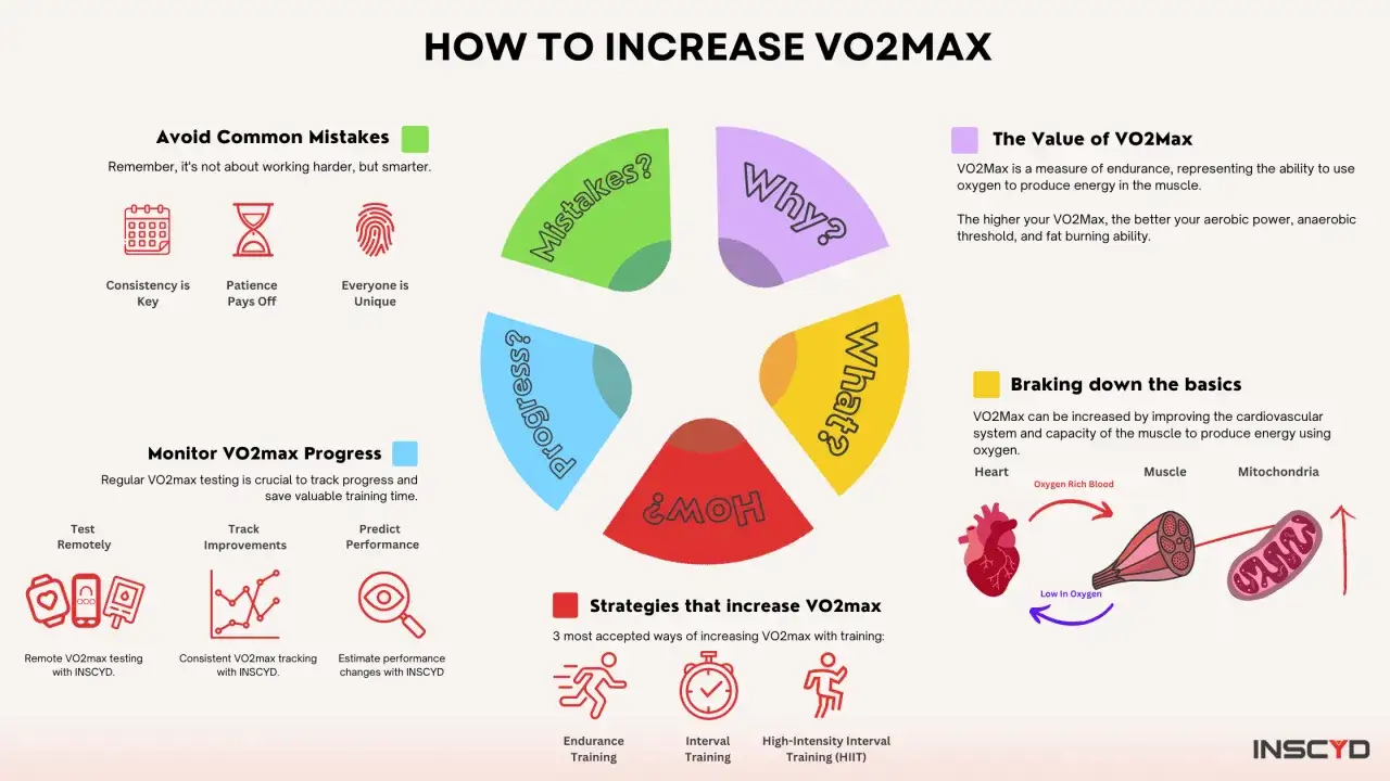 Combien de temps pour augmenter sa VO2 max ? L'image montre comment améliorer sa VO2 max avec des stratégies d'entraînement et un suivi.