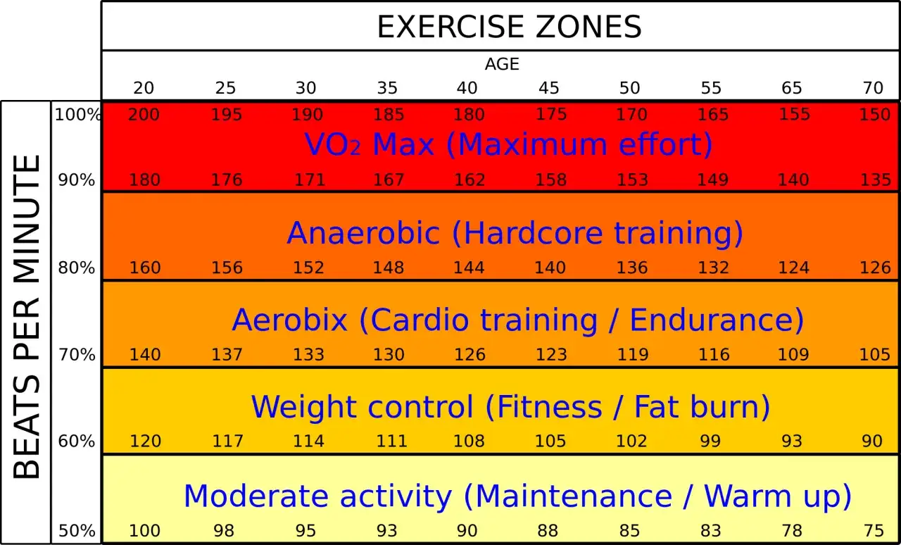 Tableau des zones d'exercice par &acirc;ge. Une faible VO2 max est indiqu&eacute;e dans la zone rouge (effort maximal), avec des fr&eacute;quences cardiaques plus basses pour les &acirc;ges plus avanc&eacute;s.