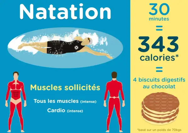 Natation : 30 minutes brûlent 343 calories, l'équivalent de 4 biscuits au chocolat. Un excellent exercice pour tous les muscles et le cardio.