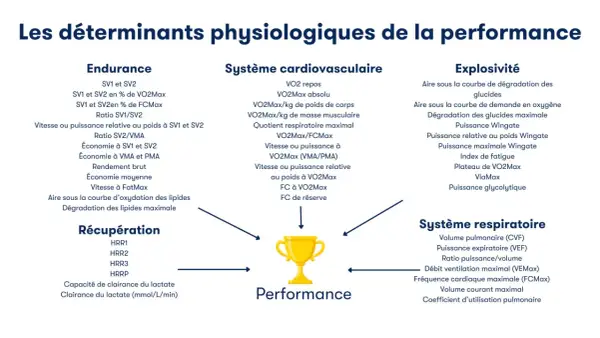 Schéma des déterminants physiologiques de la performance, incluant l'endurance, le système cardiovasculaire (avec VO2Max), l'explosivité et le système respiratoire.